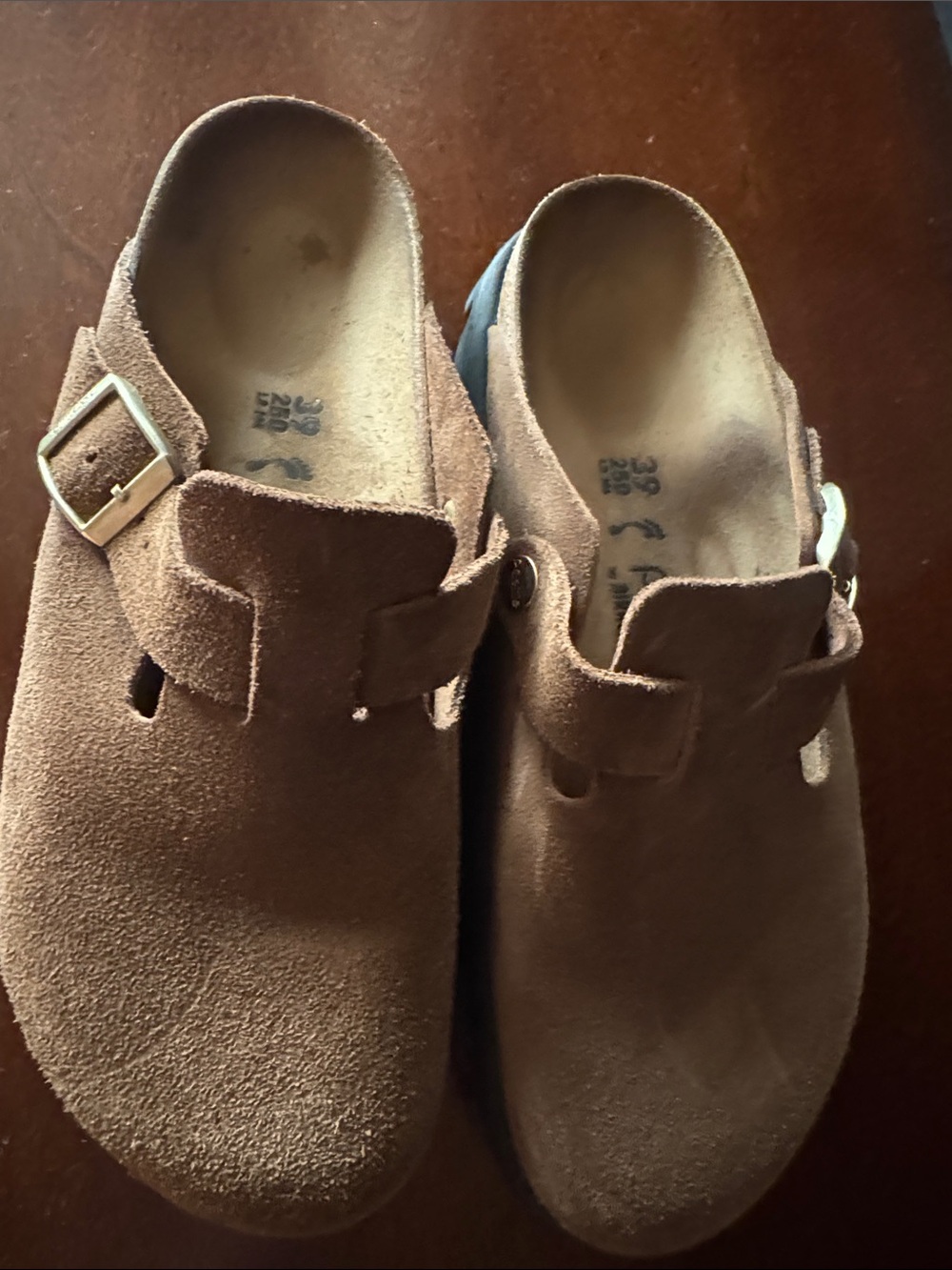Papillio Brown Suede Slip-On Clogs with Buckle